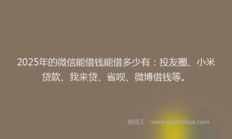 2025年的微信能借钱能借多少有：投友圈、小米贷款、我来贷、省呗、微博借钱等。