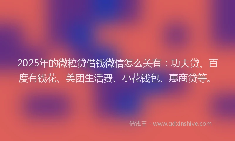 2025年的微粒贷借钱微信怎么关有：功夫贷、百度有钱花、美团生活费、小花钱包、惠商贷等。