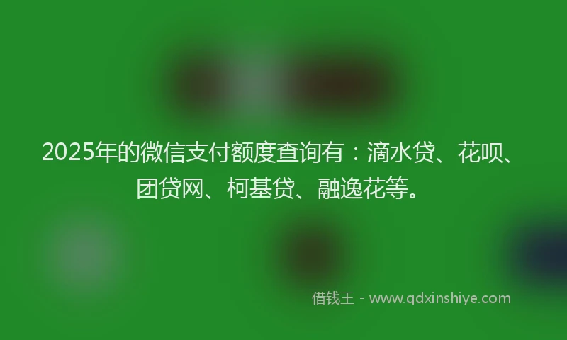 2025年的微信支付额度查询有：滴水贷、花呗、团贷网、柯基贷、融逸花等。