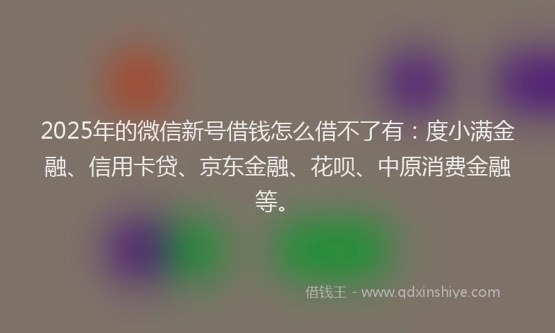 2025年的微信新号借钱怎么借不了有：度小满金融、信用卡贷、京东金融、花呗、中原消费金融等。