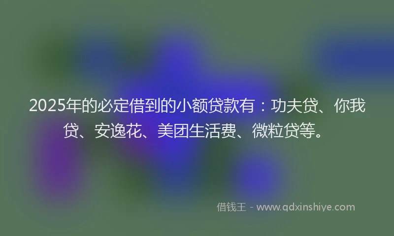 2025年的必定借到的小额贷款有：功夫贷、你我贷、安逸花、美团生活费、微粒贷等。