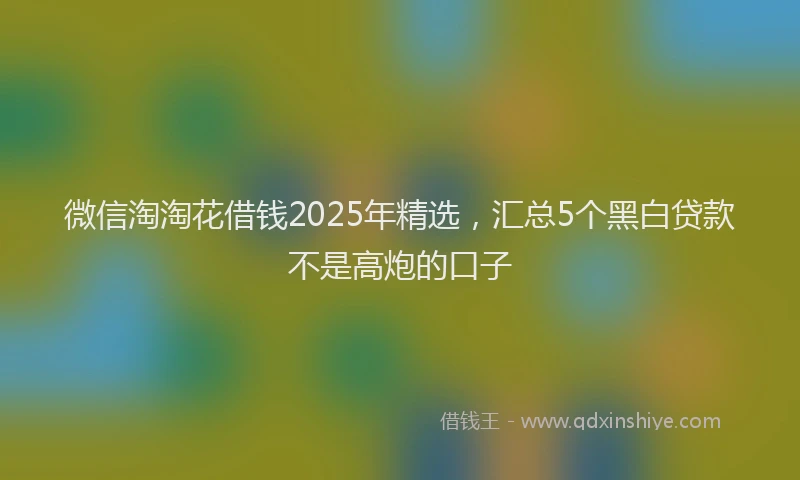 微信淘淘花借钱2025年精选，汇总5个黑白贷款不是高炮的口子