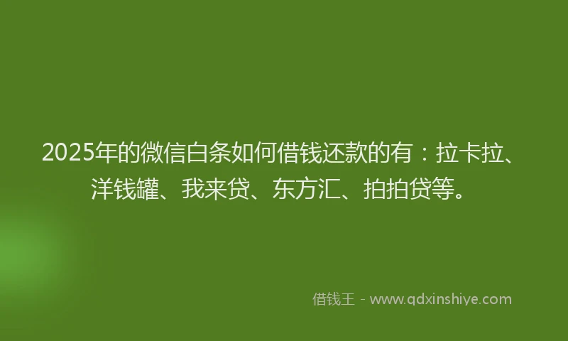 2025年的微信白条如何借钱还款的有：拉卡拉、洋钱罐、我来贷、东方汇、拍拍贷等。