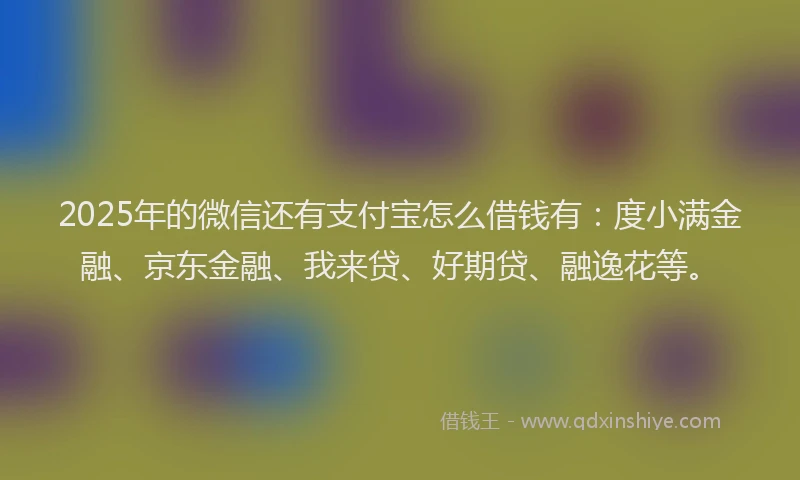 2025年的微信还有支付宝怎么借钱有：度小满金融、京东金融、我来贷、好期贷、融逸花等。