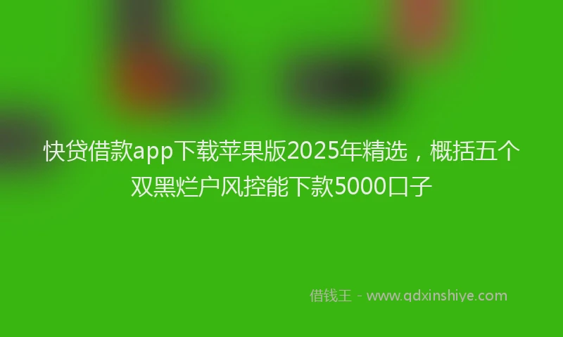 快贷借款app下载苹果版2025年精选，概括五个双黑烂户风控能下款5000口子