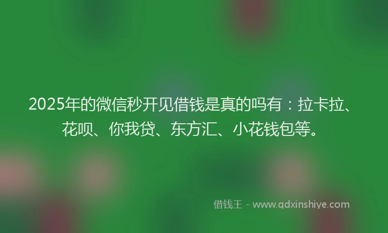 2025年的微信秒开见借钱是真的吗有：拉卡拉、花呗、你我贷、东方汇、小花钱包等。