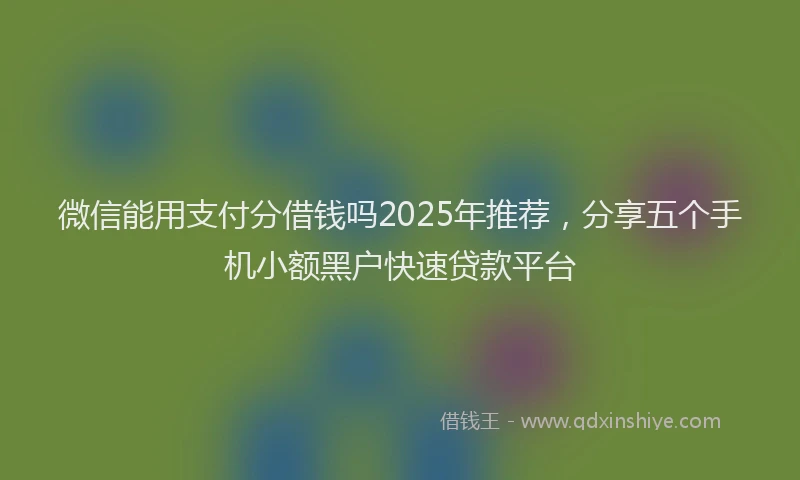 微信能用支付分借钱吗2025年推荐，分享五个手机小额黑户快速贷款平台