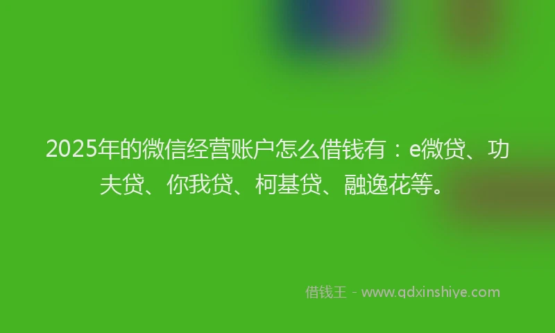 2025年的微信经营账户怎么借钱有：e微贷、功夫贷、你我贷、柯基贷、融逸花等。