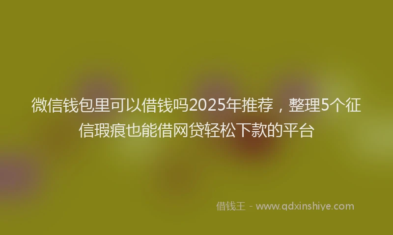 微信钱包里可以借钱吗2025年推荐，整理5个征信瑕疵也能借网贷轻松下款的平台