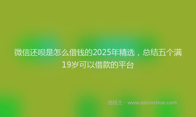 微信还呗是怎么借钱的2025年精选，总结五个满19岁可以借款的平台