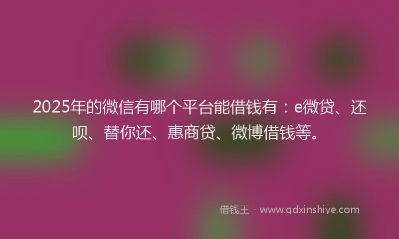 2025年的微信有哪个平台能借钱有：e微贷、还呗、替你还、惠商贷、微博借钱等。