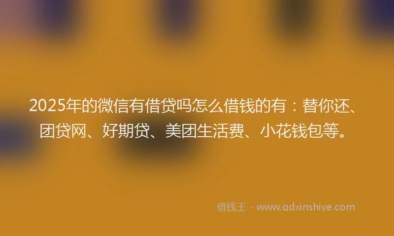 2025年的微信有借贷吗怎么借钱的有：替你还、团贷网、好期贷、美团生活费、小花钱包等。