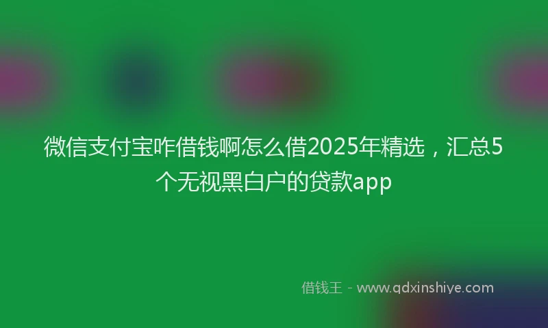 微信支付宝咋借钱啊怎么借2025年精选，汇总5个无视黑白户的贷款app