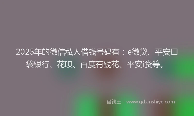 2025年的微信私人借钱号码有：e微贷、平安口袋银行、花呗、百度有钱花、平安i贷等。