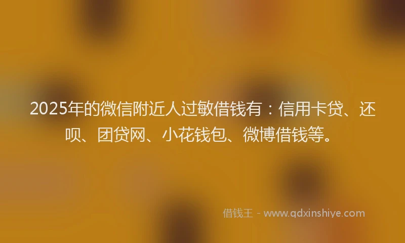 2025年的微信附近人过敏借钱有：信用卡贷、还呗、团贷网、小花钱包、微博借钱等。