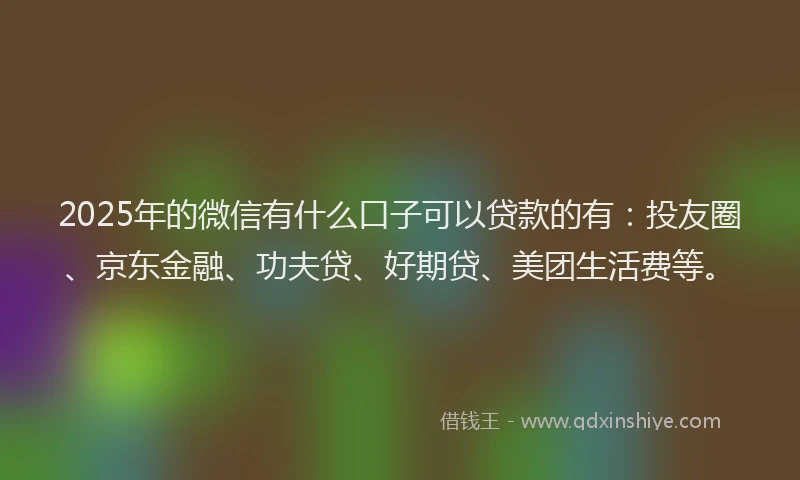 2025年的微信有什么口子可以贷款的有：投友圈、京东金融、功夫贷、好期贷、美团生活费等。