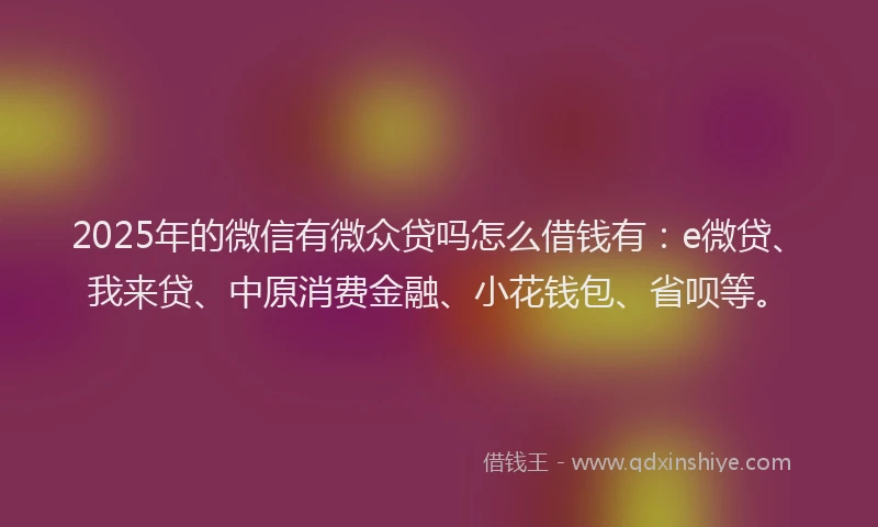 2025年的微信有微众贷吗怎么借钱有：e微贷、我来贷、中原消费金融、小花钱包、省呗等。