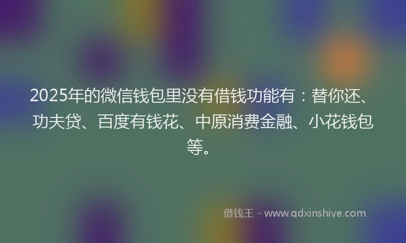 2025年的微信钱包里没有借钱功能有：替你还、功夫贷、百度有钱花、中原消费金融、小花钱包等。