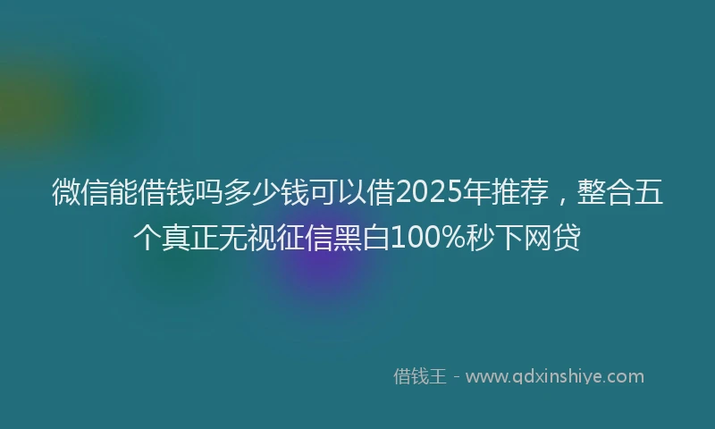 微信能借钱吗多少钱可以借2025年推荐，整合五个真正无视征信黑白100%秒下网贷