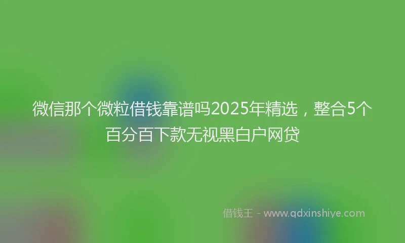 微信那个微粒借钱靠谱吗2025年精选，整合5个百分百下款无视黑白户网贷
