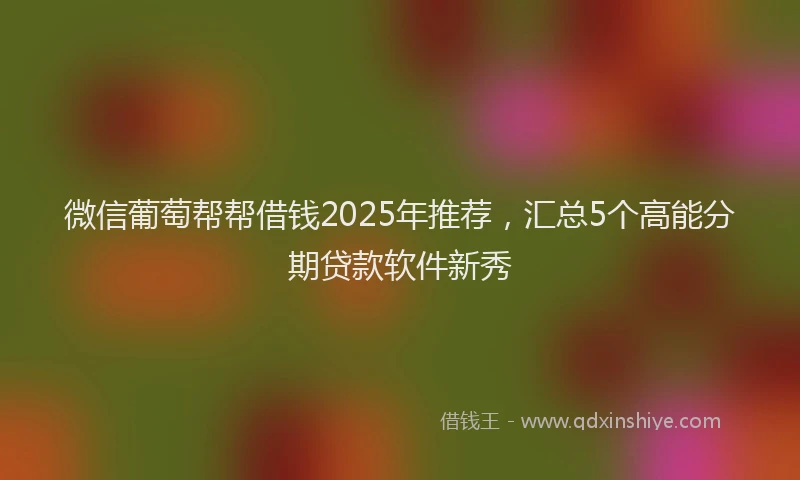 微信葡萄帮帮借钱2025年推荐，汇总5个高能分期贷款软件新秀