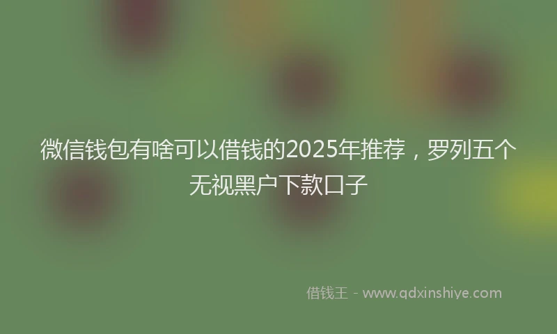 微信钱包有啥可以借钱的2025年推荐，罗列五个无视黑户下款口子