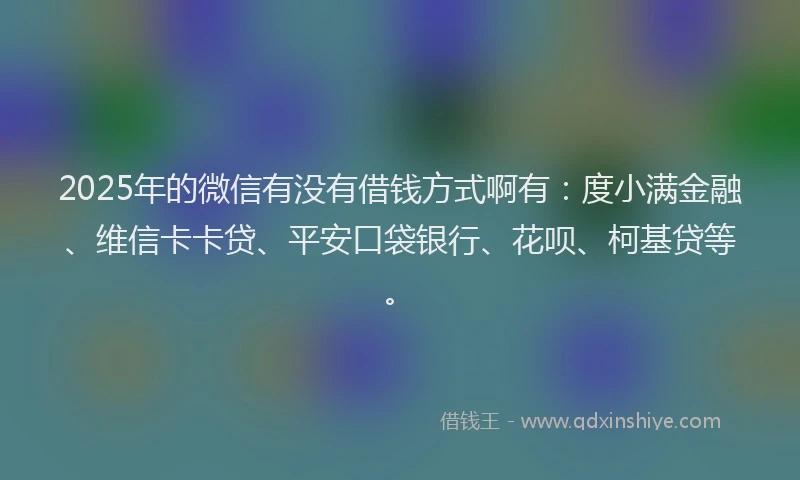 2025年的微信有没有借钱方式啊有：度小满金融、维信卡卡贷、平安口袋银行、花呗、柯基贷等。