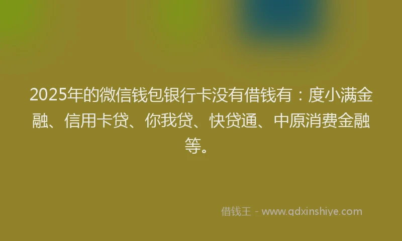 2025年的微信钱包银行卡没有借钱有：度小满金融、信用卡贷、你我贷、快贷通、中原消费金融等。