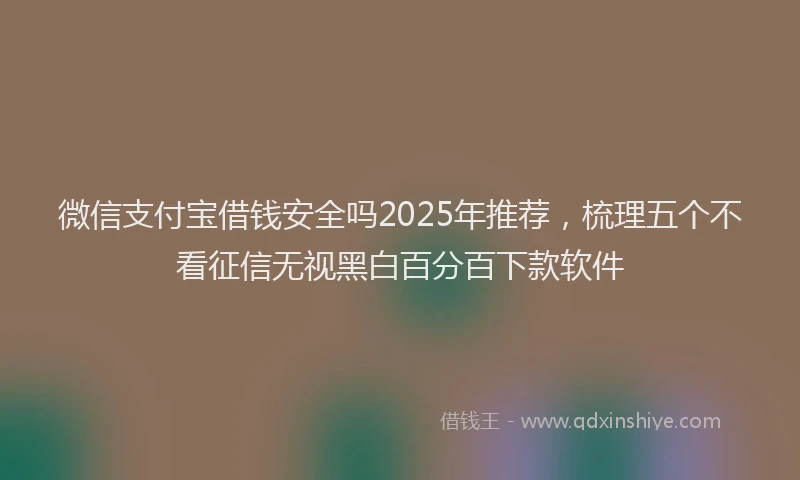 微信支付宝借钱安全吗2025年推荐，梳理五个不看征信无视黑白百分百下款软件