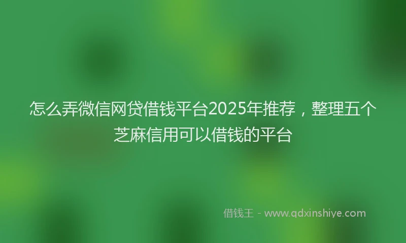 怎么弄微信网贷借钱平台2025年推荐，整理五个芝麻信用可以借钱的平台