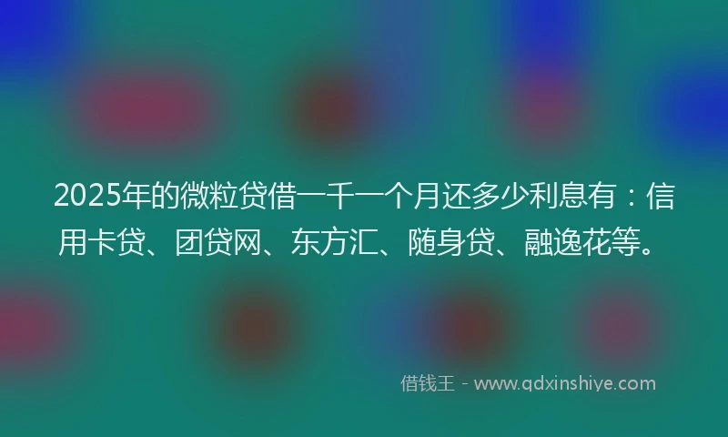 2025年的微粒贷借一千一个月还多少利息有：信用卡贷、团贷网、东方汇、随身贷、融逸花等。