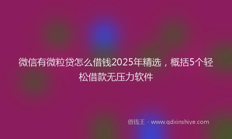 微信有微粒贷怎么借钱2025年精选，概括5个轻松借款无压力软件