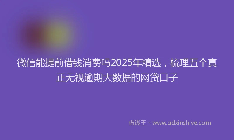 微信能提前借钱消费吗2025年精选，梳理五个真正无视逾期大数据的网贷口子