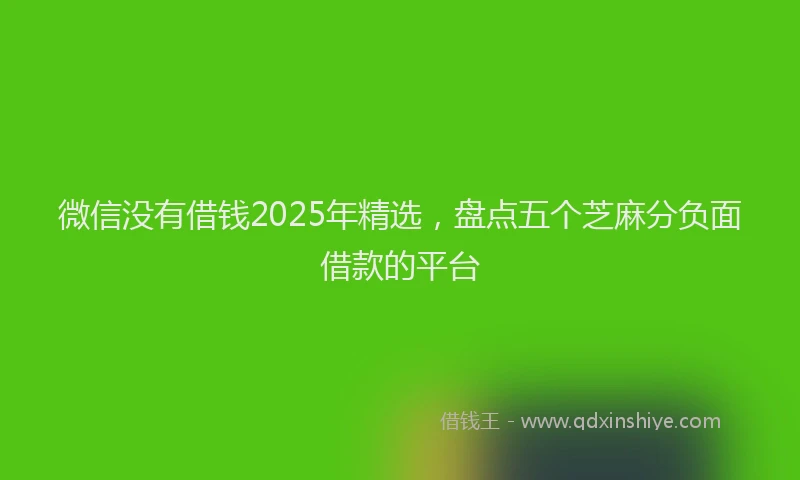 微信没有借钱2025年精选，盘点五个芝麻分负面借款的平台