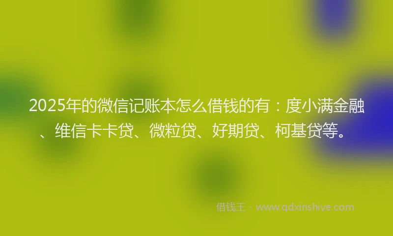 2025年的微信记账本怎么借钱的有：度小满金融、维信卡卡贷、微粒贷、好期贷、柯基贷等。