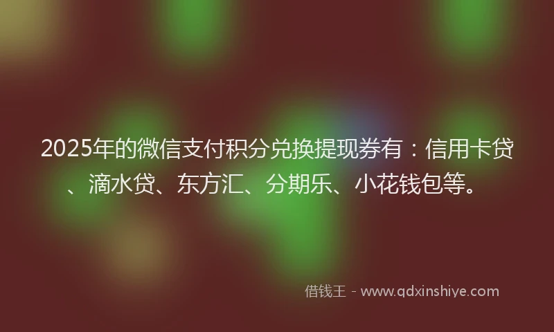 2025年的微信支付积分兑换提现券有：信用卡贷、滴水贷、东方汇、分期乐、小花钱包等。