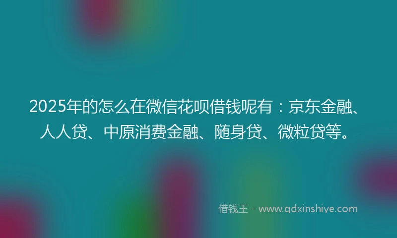 2025年的怎么在微信花呗借钱呢有：京东金融、人人贷、中原消费金融、随身贷、微粒贷等。