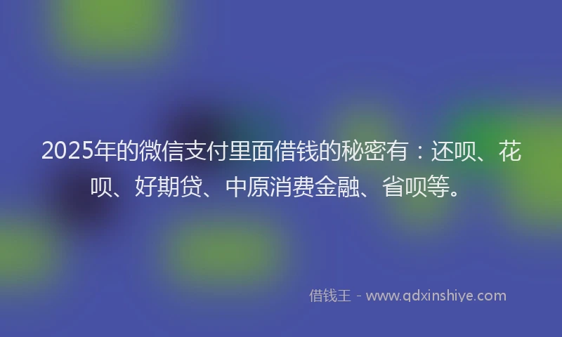 2025年的微信支付里面借钱的秘密有：还呗、花呗、好期贷、中原消费金融、省呗等。