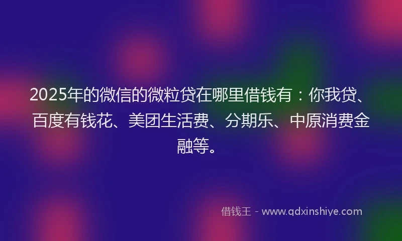 2025年的微信的微粒贷在哪里借钱有：你我贷、百度有钱花、美团生活费、分期乐、中原消费金融等。