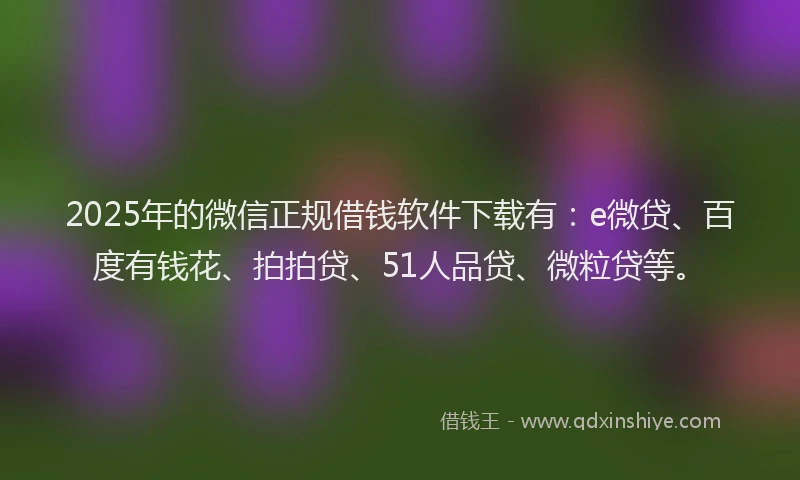2025年的微信正规借钱软件下载有：e微贷、百度有钱花、拍拍贷、51人品贷、微粒贷等。