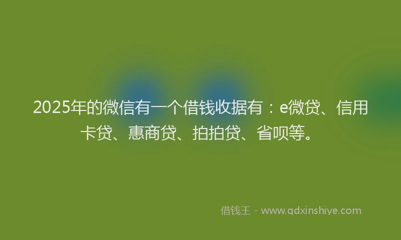 2025年的微信有一个借钱收据有：e微贷、信用卡贷、惠商贷、拍拍贷、省呗等。