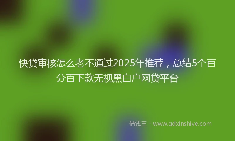 快贷审核怎么老不通过2025年推荐，总结5个百分百下款无视黑白户网贷平台