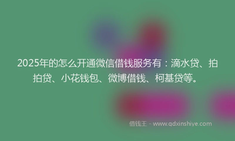 2025年的怎么开通微信借钱服务有：滴水贷、拍拍贷、小花钱包、微博借钱、柯基贷等。
