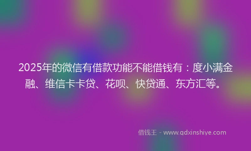 2025年的微信有借款功能不能借钱有：度小满金融、维信卡卡贷、花呗、快贷通、东方汇等。