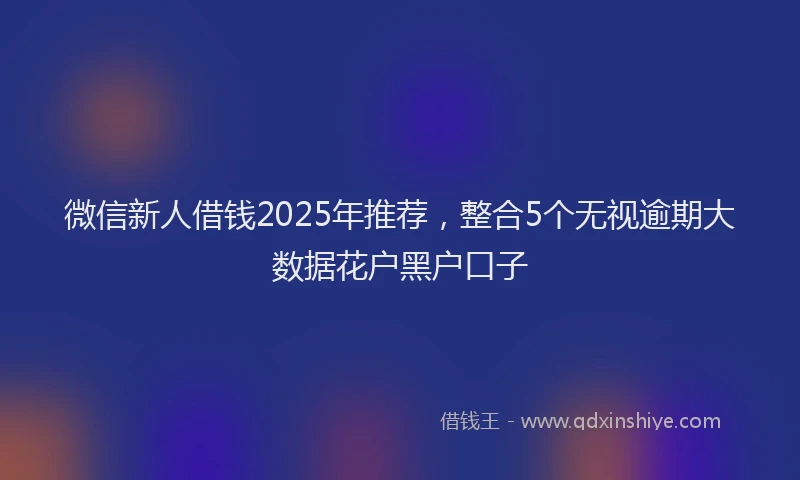 微信新人借钱2025年推荐，整合5个无视逾期大数据花户黑户口子