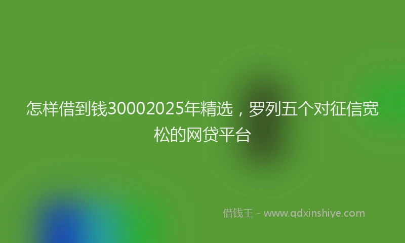 怎样借到钱30002025年精选，罗列五个对征信宽松的网贷平台