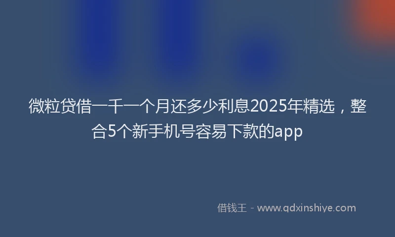 微粒贷借一千一个月还多少利息2025年精选，整合5个新手机号容易下款的app