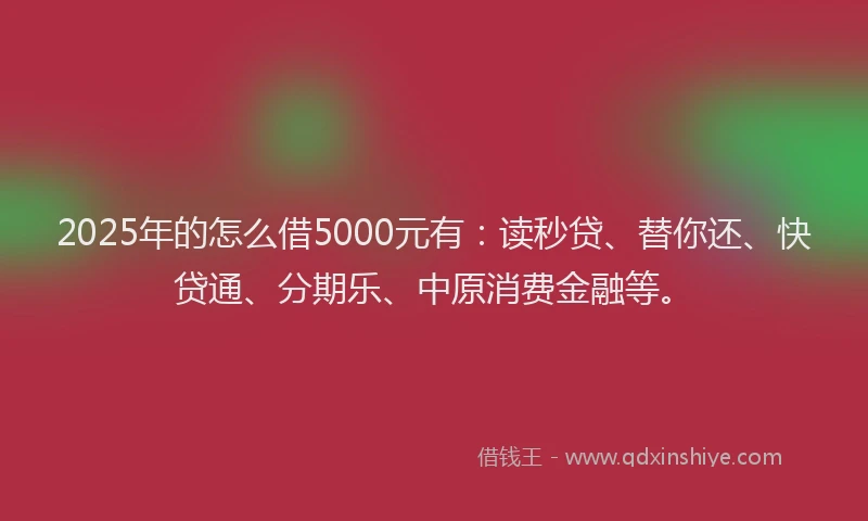 2025年的怎么借5000元有：读秒贷、替你还、快贷通、分期乐、中原消费金融等。