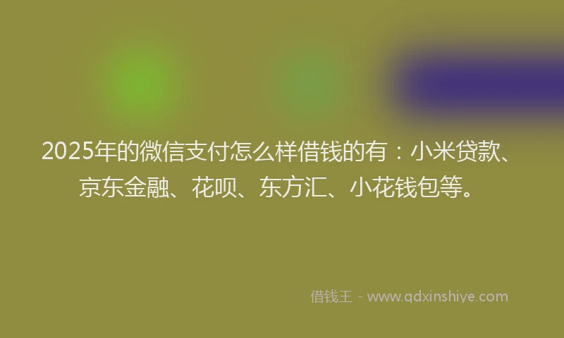 2025年的微信支付怎么样借钱的有：小米贷款、京东金融、花呗、东方汇、小花钱包等。