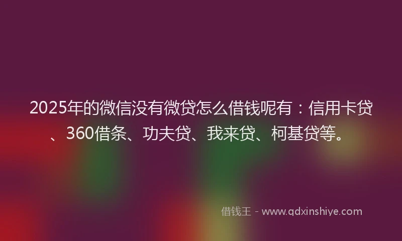 2025年的微信没有微贷怎么借钱呢有：信用卡贷、360借条、功夫贷、我来贷、柯基贷等。